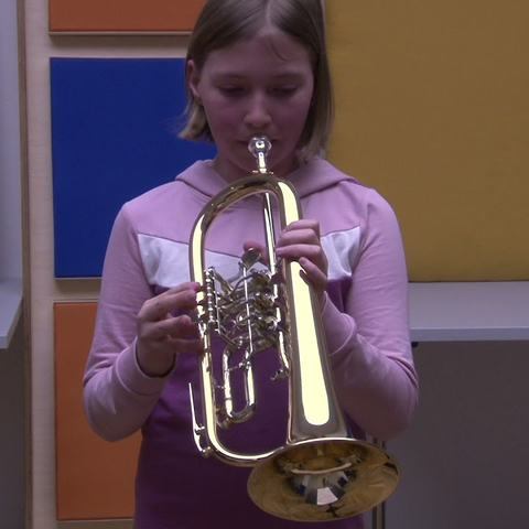 Trompete/Flügelhorn/Kornett 01