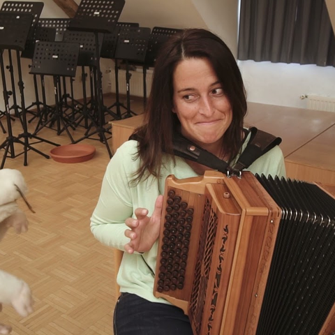 07 Saiteninstrumente und Steirische