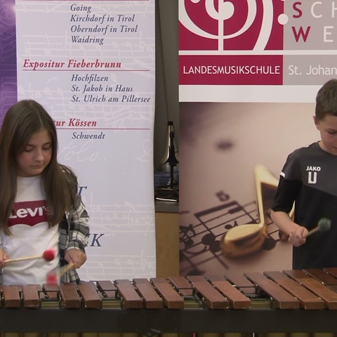 Schlagwerk 06 Marimbaphon