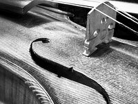 Ausschnitt einer Violine
