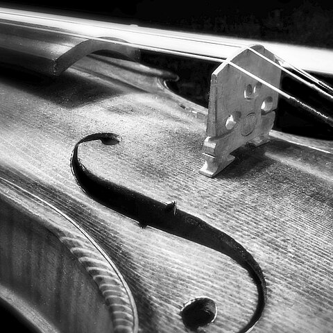 Ausschnitt einer Violine
