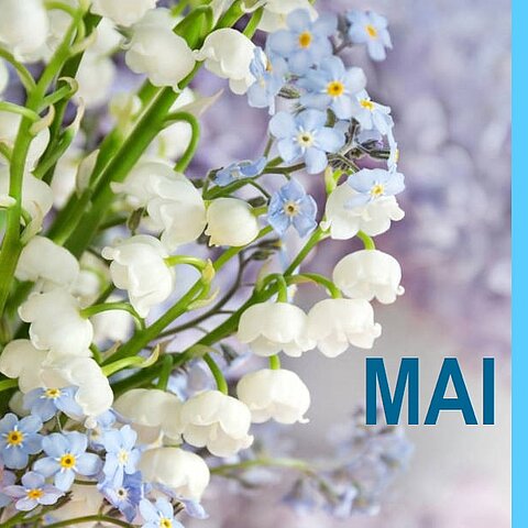 Blumenstrauß Maiglöckchen und Vergissmeinnicht auf blauem Hintergrund