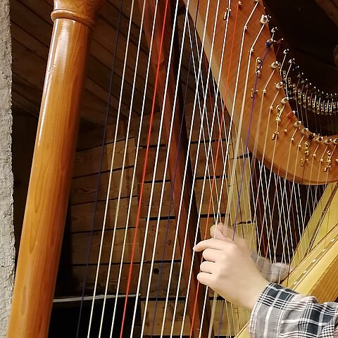 Vorweihnachtlicher Harfenabend