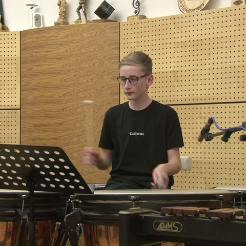 Schlagwerk 08 Pauken