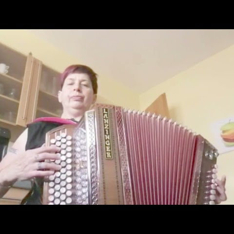 Vorspielstunde Steirische Harmonika