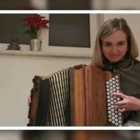 Steirische Harmonika 02