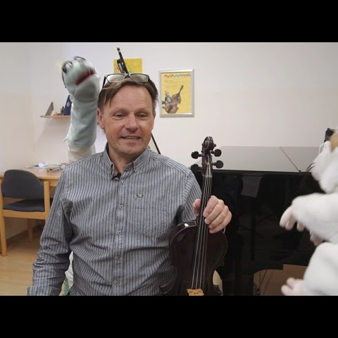 12 Streichinstrumente