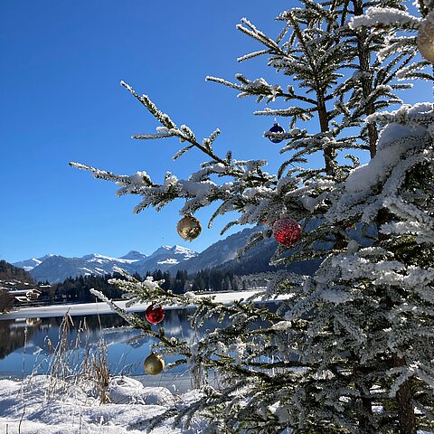 geschmückter Weihnachtsbaum