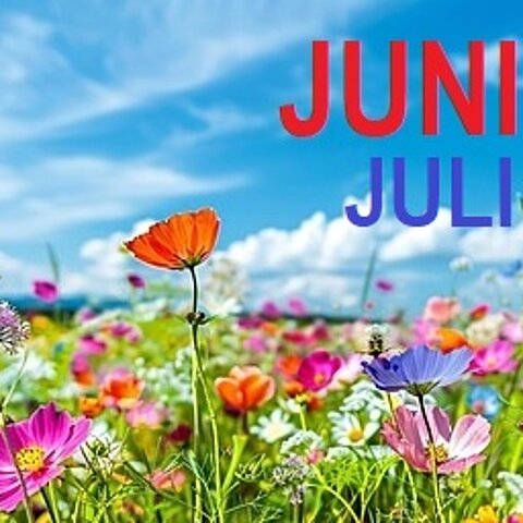 bunte blumenweise, blauer Himmel mit ein paar Wolken - roter Schriftzug Juni