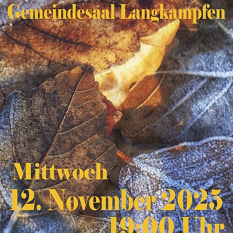 Plakat Außenstellenkonzert Langkampfen 2025