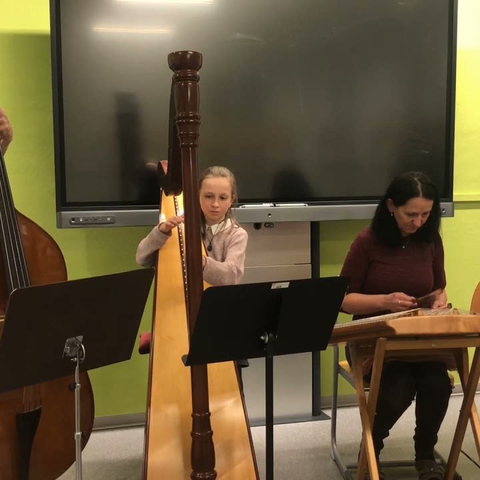 HARFE, HACKBRETT, STEIRISCHE HARMONIKA