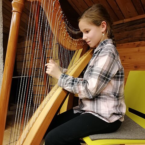Schulschlusskonzert Harfe, Steirische Harmonika