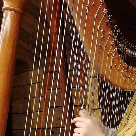 "Musikalisches Frühlingserwachen" Klassenabend Harfe, Hackbrett,Querflöte