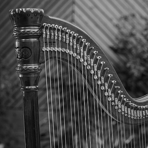 Ausschnitt einer Harfe