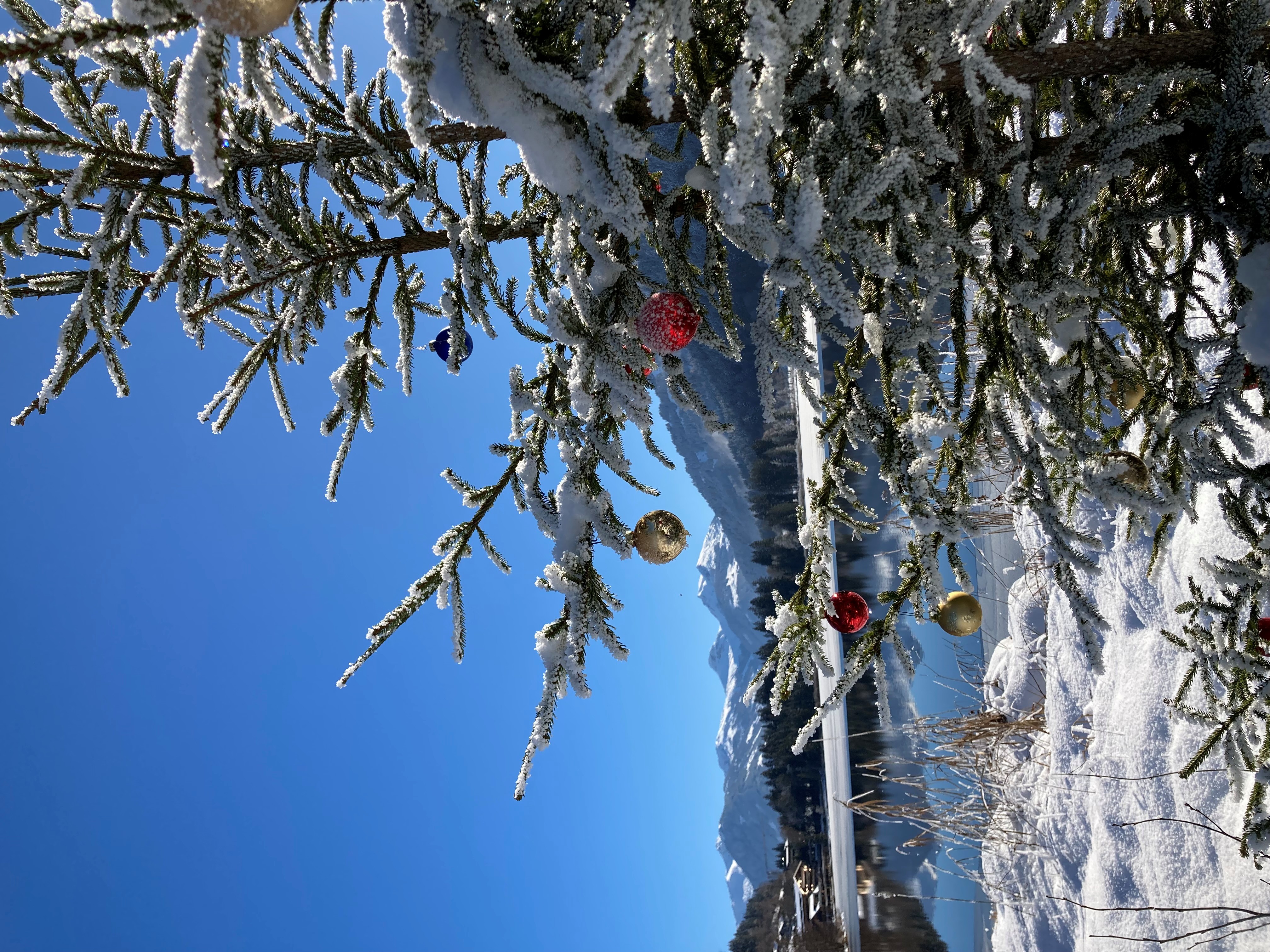 geschmückter Weihnachtsbaum